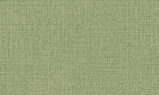 Arte 49517 Textura Nongo Olive - tapeta imitująca wiklinę