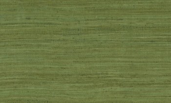 4697c212839e7b47768a68d1fc64aae1