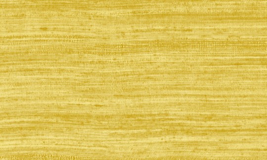 Arte 72029 Textura Tasar Marigold - tapeta imitująca jedwab