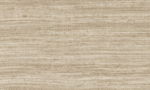 Arte 72033 Textura Tasar Mushroom - tapeta imitująca jedwab