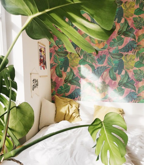 Wallcolors Tropical Intense Monstera Pink - mural z motywem liści monstery na różowym tle