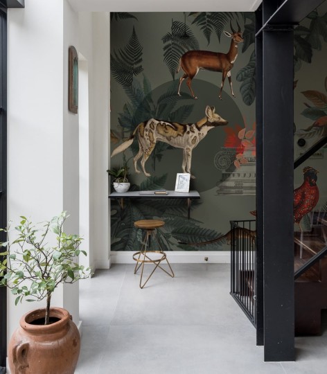 Wallcolors Art Matters Khaki - mural z motywem szakala i antylopy