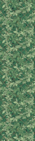 Wall Art Originals Edera Dark Green - mural liście