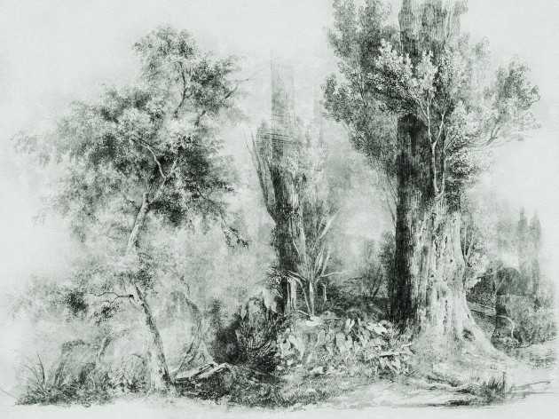 Wall Art Originals Calm Green - mural drzewa