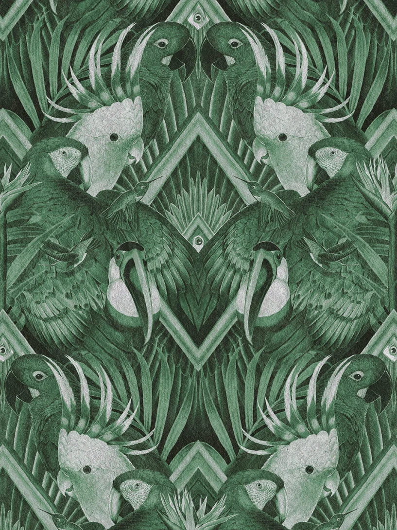 Divine Savages DVS114 Plumage Emerald - tapeta w papugi