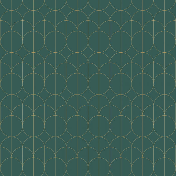 85697505.jpg