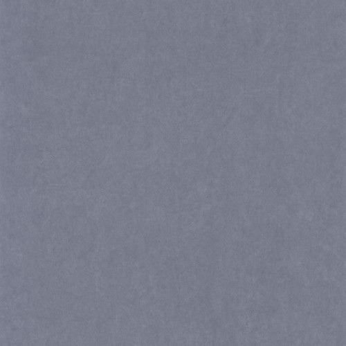 82386336.jpg