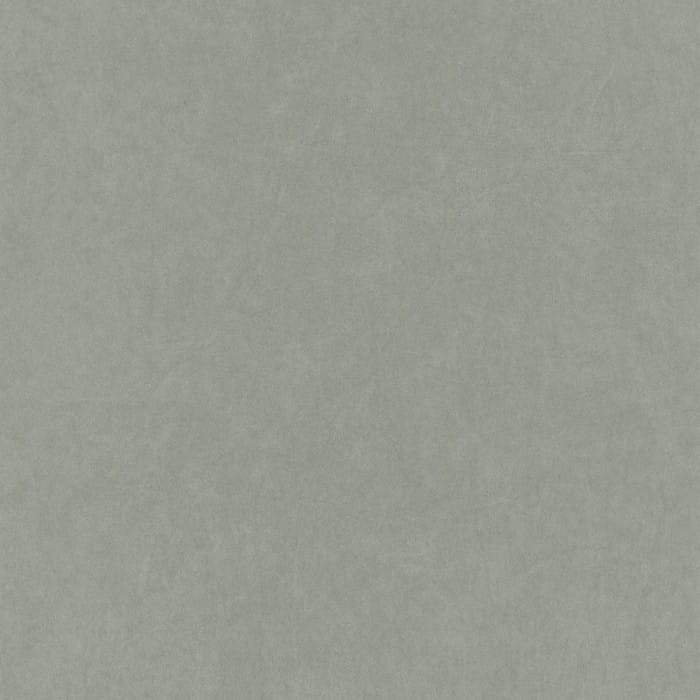 82387117.jpg