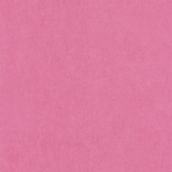 82384424.jpg