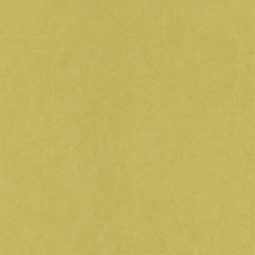 82387232.jpg