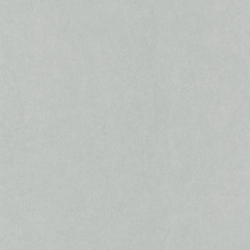 82386109.jpg