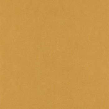 82382520.jpg