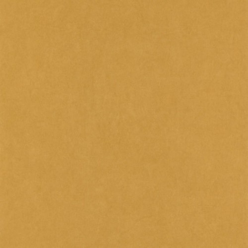 82382520.jpg