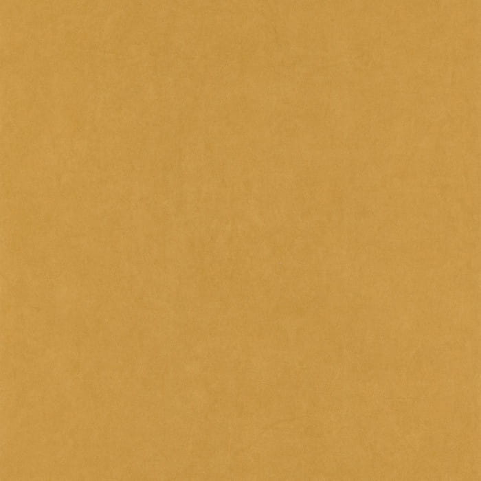 82382520.jpg