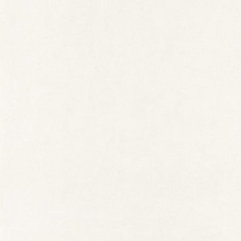 82381141.jpg