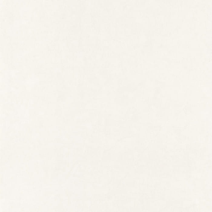82381141.jpg