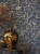 flre-florescence-monceau-or-bleu-zoom.jpg