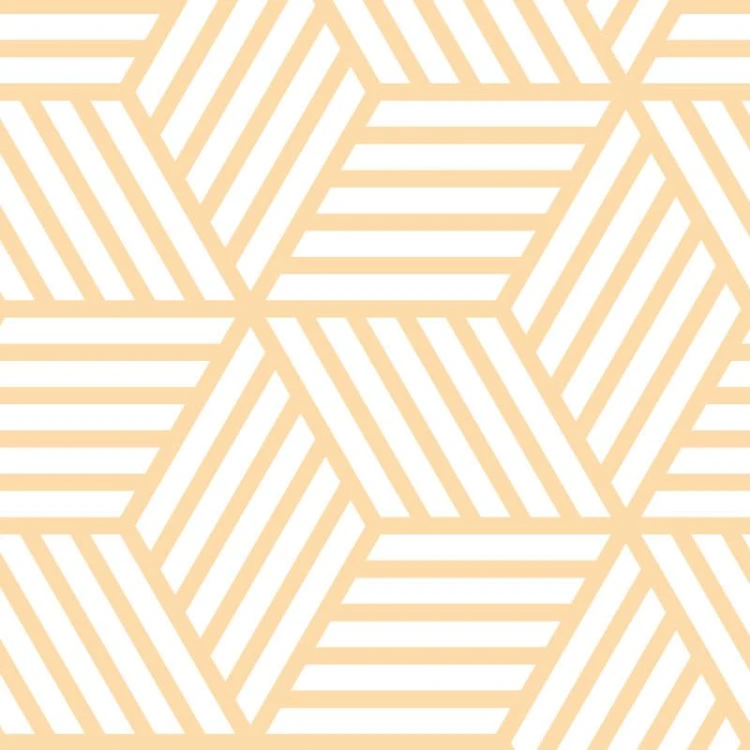 544dbf138f87f5076c30069e81b6dc39