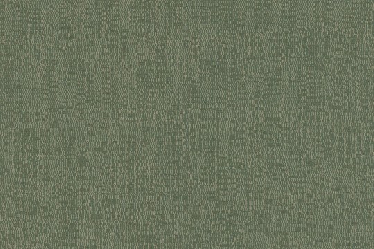 Rasch Textil 299785 Palmera - minimalistyczna tapeta z motywem tekstury