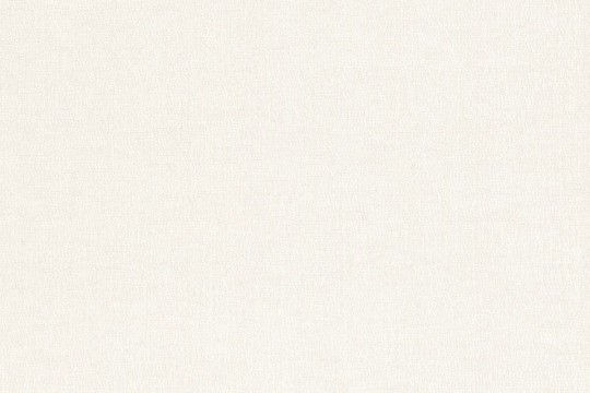 Rasch Textil 299808 Palmera - minimalistyczna tapeta z motywem tekstury
