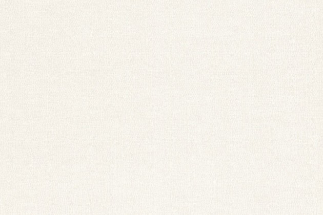 Rasch Textil 299808 Palmera - minimalistyczna tapeta z motywem tekstury