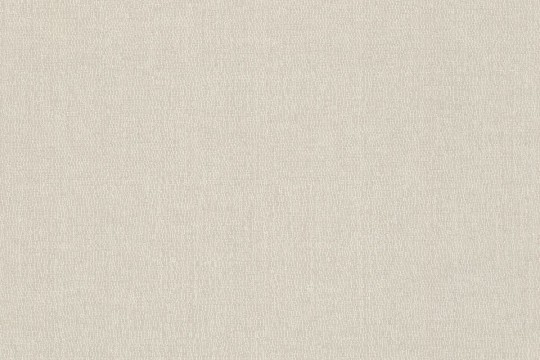 Rasch Textil 299822 Palmera - minimalistyczna tapeta z motywem tekstury