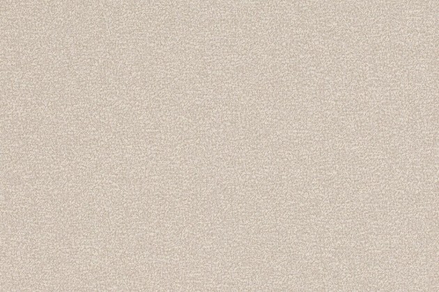 Rasch Textil 299976 Palmera - minimalistyczna tapeta z motywem tekstury