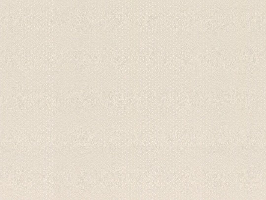 Rasch Textil 288543 Petite Fleur 5 - minimalistyczna tapeta w kremowym kolorze