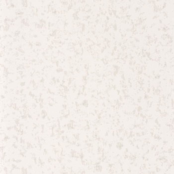 85220113.jpg