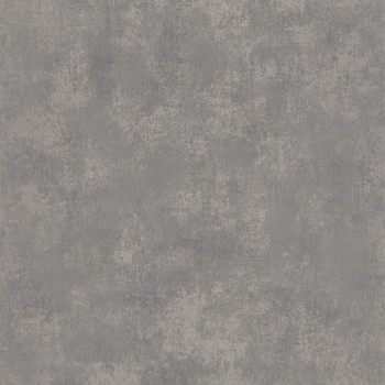 80837436.jpg