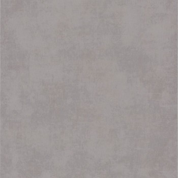 80831629.jpg