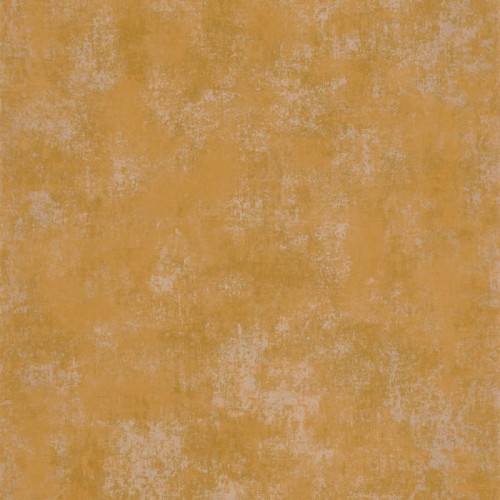 80832661.jpg