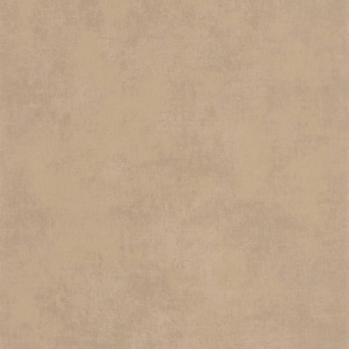 80831265.jpg
