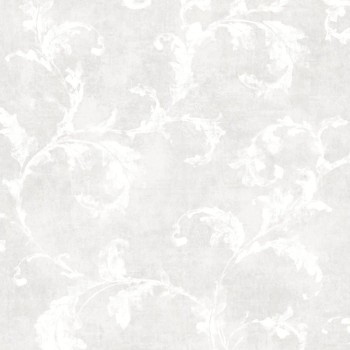 80790218.jpg