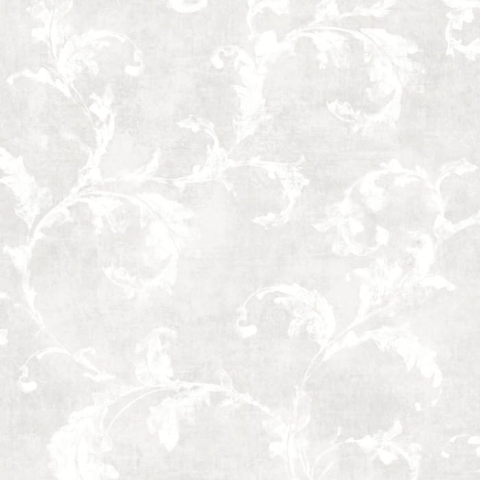80790218.jpg