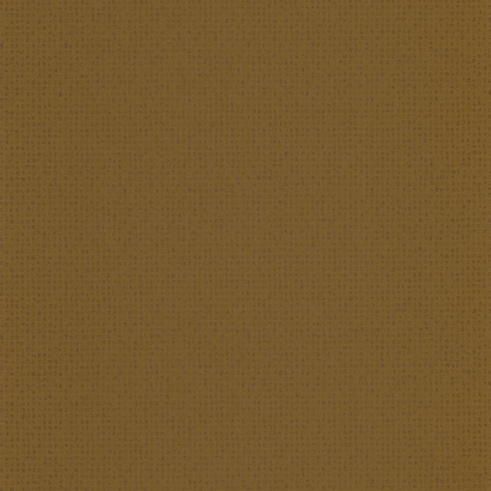 84432517.jpg