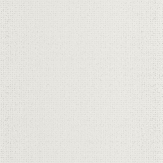 Casadeco 84430105 Nangara Namadgi Blanc - tapeta imitująca skórę