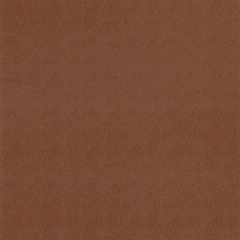 84423225.jpg