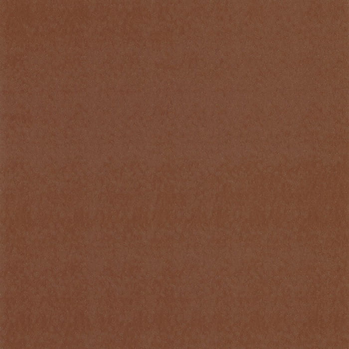 84423225.jpg