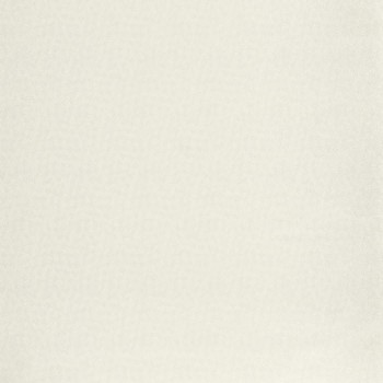 84420121.jpg