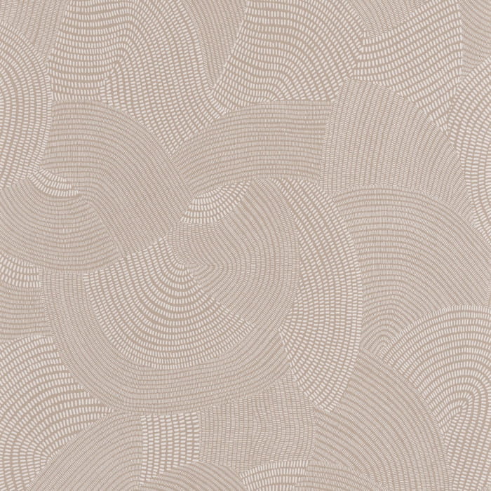 84411416.jpg