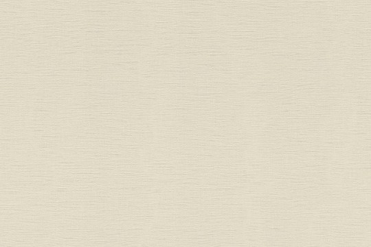 Rasch Textil 531329 Amazing A Great Fan - minimalistyczna tapeta w kolorze białym