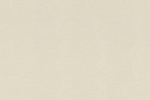 Rasch Textil 531329 Amazing A Great Fan - minimalistyczna tapeta w kolorze białym