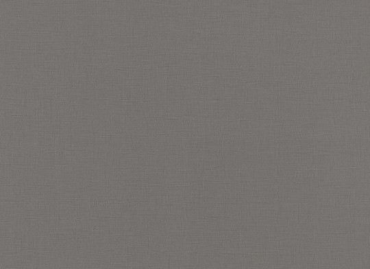 Rasch Textil 537932 Amazing Just Dive In - minimalistyczna tapeta w kolorze szarym