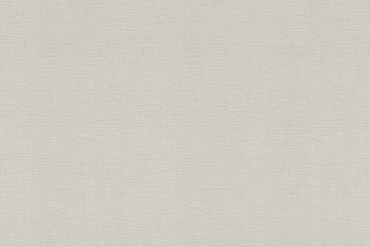 Rasch Textil 531336 Amazing Just Dive In - minimalistyczna tapeta w kolorze szarym