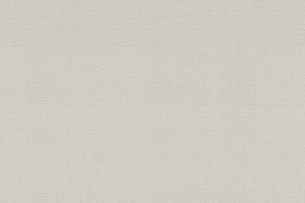 Rasch Textil 531336 Amazing Just Dive In - minimalistyczna tapeta w kolorze szarym