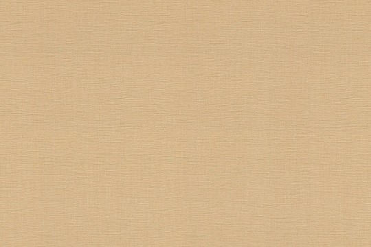 Rasch Textil 531367 Amazing Chain Reaction - minimalistyczna tapeta w kolorze brązowym