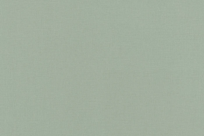 ae211d61088cde9db32929b1ea78d2ea