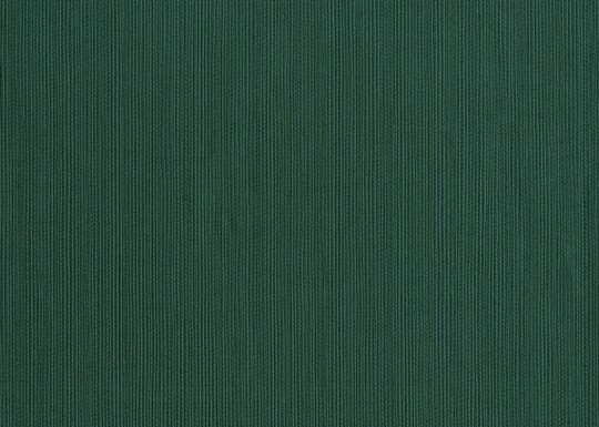 J&V 24938 Sirpi Altagamma Home 3 Treccia - zielona tapeta z motywem pionowych prążków
