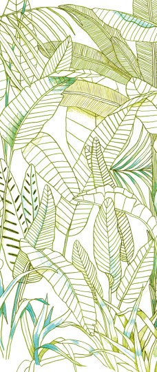 Khroma DG3GRA1012 Wall Designs III Grafite Day - egzotyczny mural w liście